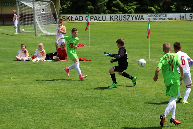 他的多样化 他的多样化