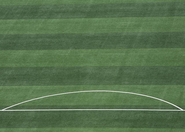 仅让广州队 仅让广州队