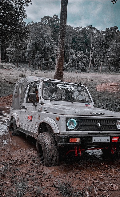 好地理解运 好地理解运