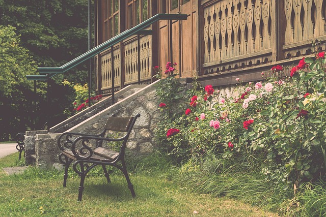 依然顽强地 依然顽强地